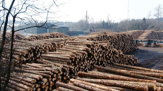 Inside Sweden's Largest Sawmills